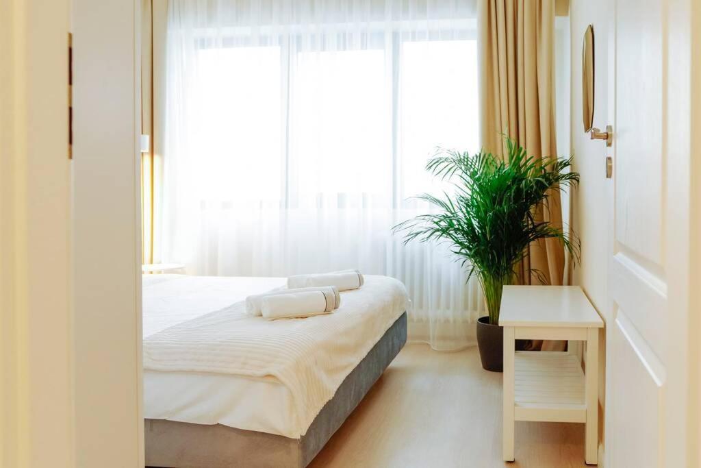 Elegant Vibes Apartment Next To Obor Market Бухарест Екстер'єр фото